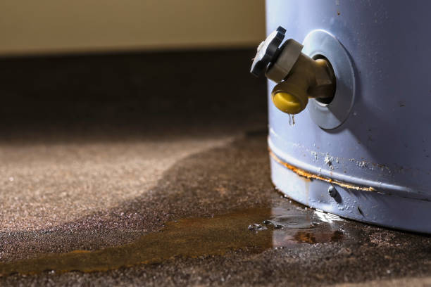 Best Sewage cleanup and water damage restoration  in Kahului, HI
