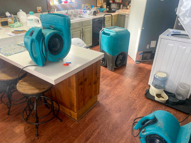 Best Flood restoration services  in Kahului, HI