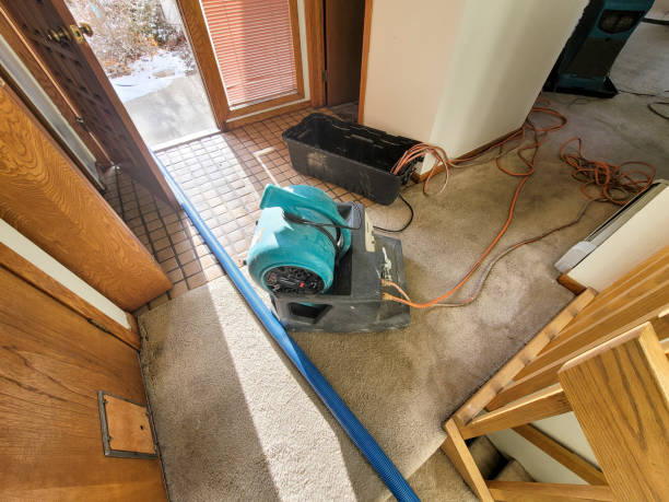 Best Basement water damage restoration  in Kahului, HI