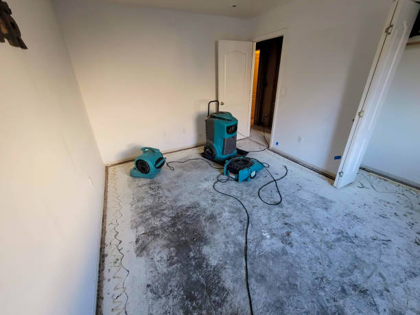 Best Water damage contractors near me  in Kahului, HI