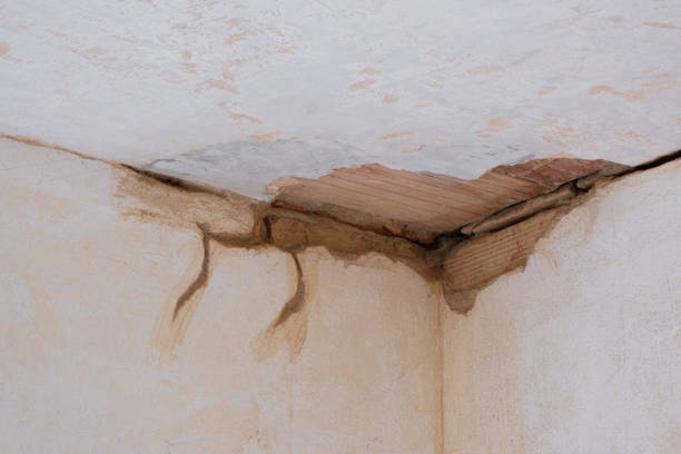 Best Basement water damage restoration  in Kahului, HI