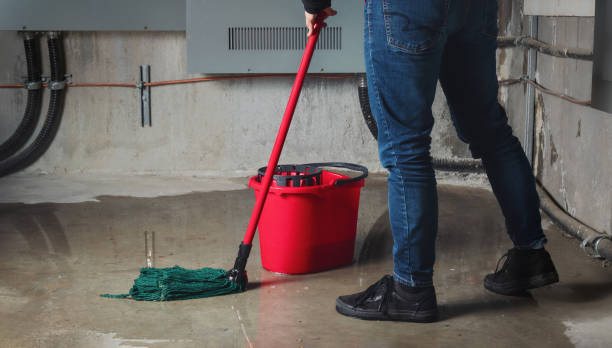 Best Flood damage cleanup  in Kahului, HI