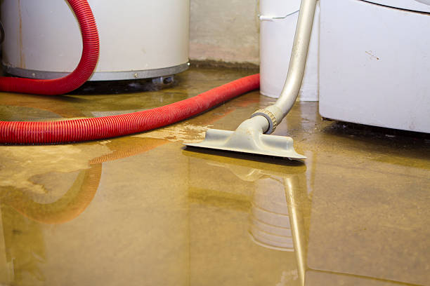 Best 24-hour water damage restoration  in Kahului, HI