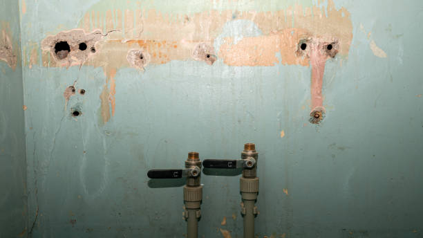 Best Fire Damage Restoration  in Kahului, HI