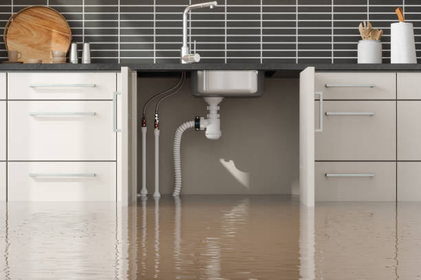 Best Mold removal after water damage  in Kahului, HI