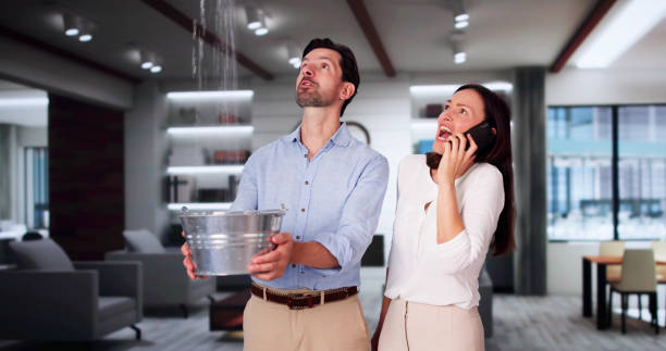 Best Water damage restoration near me  in Kahului, HI