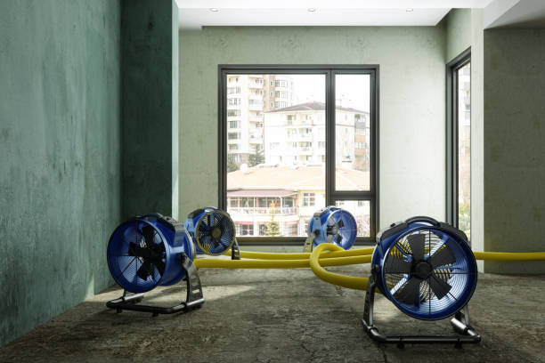 Best Emergency water damage restoration  in Kahului, HI
