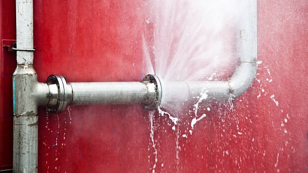 Best Water damage cleanup near me  in Kahului, HI