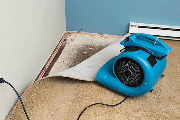 Sewage cleanup and water damage restoration in HI